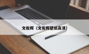 文俊辉（文俊辉壁纸高清）