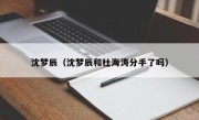 沈梦辰（沈梦辰和杜海涛分手了吗）