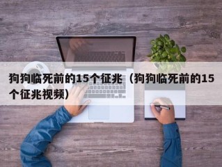 狗狗临死前的15个征兆（狗狗临死前的15个征兆视频）