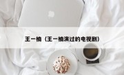 王一楠（王一楠演过的电视剧）