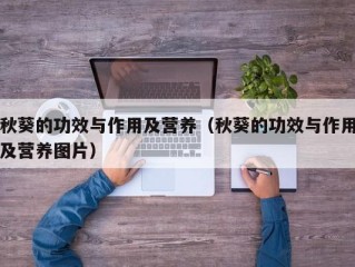 秋葵的功效与作用及营养（秋葵的功效与作用及营养图片）