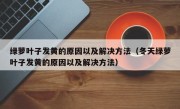 绿萝叶子发黄的原因以及解决方法（冬天绿萝叶子发黄的原因以及解决方法）