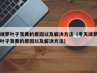 绿萝叶子发黄的原因以及解决方法（冬天绿萝叶子发黄的原因以及解决方法）