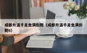 成都升温千足虫满街爬（成都升温千足虫满街爬6）