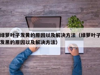 绿萝叶子发黄的原因以及解决方法（绿萝叶子发黑的原因以及解决方法）