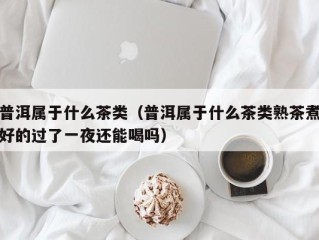 普洱属于什么茶类（普洱属于什么茶类熟茶煮好的过了一夜还能喝吗）