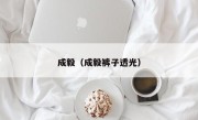 成毅（成毅裤子透光）