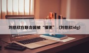 刘慈欣在联合国被“催更”（刘慈欣idg）