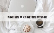 当我们遇见你（当我们遇见你王静蓉）