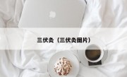 三伏灸（三伏灸图片）