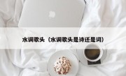 水调歌头（水调歌头是诗还是词）