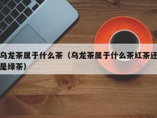 乌龙茶属于什么茶（乌龙茶属于什么茶红茶还是绿茶）