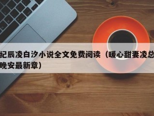 纪辰凌白汐小说全文免费阅读（暖心甜妻凌总晚安最新章）