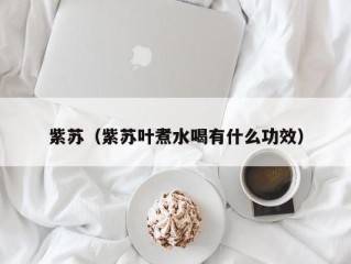 紫苏（紫苏叶煮水喝有什么功效）