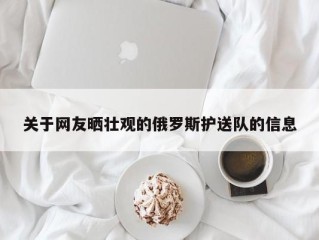 关于网友晒壮观的俄罗斯护送队的信息