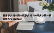 种牙多少钱一颗大概多少钱（种牙多少钱一颗大概多少钱2022）