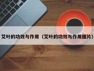 艾叶的功效与作用（艾叶的功效与作用图片）