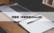 何黎明（何黎明是大boss吗）