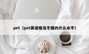 pet（pet英语相当于国内什么水平）