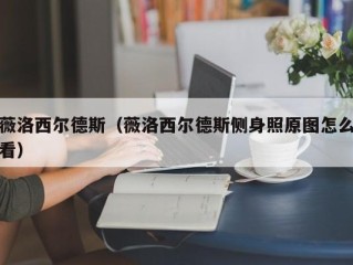 薇洛西尔德斯（薇洛西尔德斯侧身照原图怎么看）