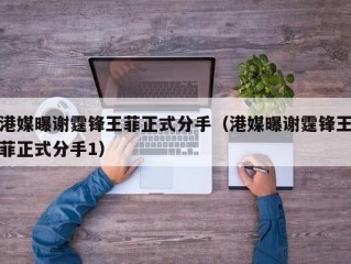 港媒曝谢霆锋王菲正式分手（港媒曝谢霆锋王菲正式分手1）