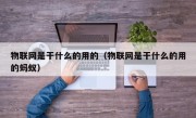 物联网是干什么的用的（物联网是干什么的用的蚂蚁）