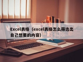 Excel表格（excel表格怎么筛选出自己想要的内容）