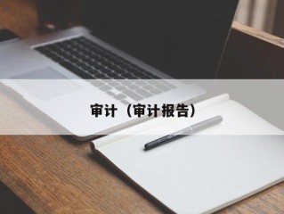 审计（审计报告）