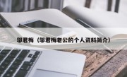 邬君梅（邬君梅老公的个人资料简介）