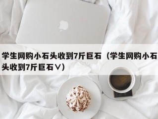 学生网购小石头收到7斤巨石（学生网购小石头收到7斤巨石∨）