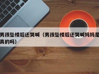 男孩坠楼后还哭喊（男孩坠楼后还哭喊妈妈是真的吗）