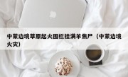 中蒙边境草原起火围栏挂满羊焦尸（中蒙边境火灾）