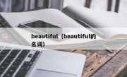 beautiful（beautiful的名词）