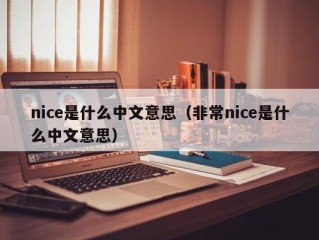 nice是什么中文意思（非常nice是什么中文意思）