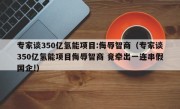 专家谈350亿氢能项目:侮辱智商（专家谈350亿氢能项目侮辱智商 竟牵出一连串假国企!）