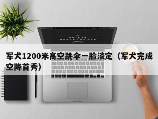 军犬1200米高空跳伞一脸淡定（军犬完成空降首秀）