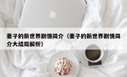 妻子的新世界剧情简介（妻子的新世界剧情简介大结局解析）