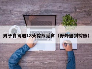 男子自驾遇18头棕熊觅食（野外遇到棕熊）