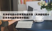 天津碧桂园小区突发地面开裂（天津碧桂园小区突发地面开裂事故原因）