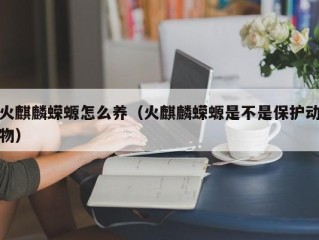 火麒麟蝾螈怎么养（火麒麟蝾螈是不是保护动物）