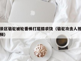 景区骆驼被轮番棒打屈膝求饶（骆驼攻击人视频）