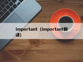 important（important翻译）