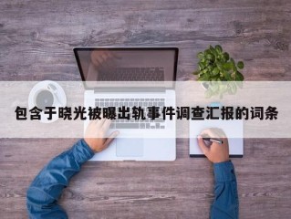 包含于晓光被曝出轨事件调查汇报的词条