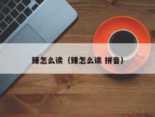 臻怎么读（臻怎么读 拼音）