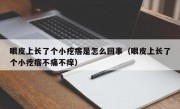 眼皮上长了个小疙瘩是怎么回事（眼皮上长了个小疙瘩不痛不痒）