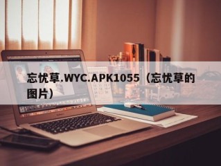 忘忧草.WYC.APK1055（忘忧草的图片）