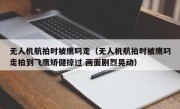 无人机航拍时被鹰叼走（无人机航拍时被鹰叼走拍到飞鹰矫健掠过 画面剧烈晃动）