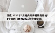 深度:2023年6月猪肉即将暴跌背后的11个原因（猪肉2021年会降价吗）