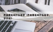 巴金原名叫什么名字（巴金原名叫什么名字,字什么）