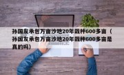 孙国友承包万亩沙地20年栽种600多亩（孙国友承包万亩沙地20年栽种600多亩是真的吗）